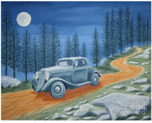 "Racing was born in NC" by Stacy C Bottoms